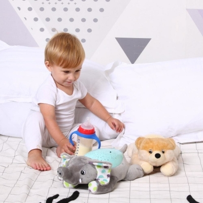 Musica Gioca Bambino giocattolo di peluche Animali da cucina parlanti Per la creatività dei bambini