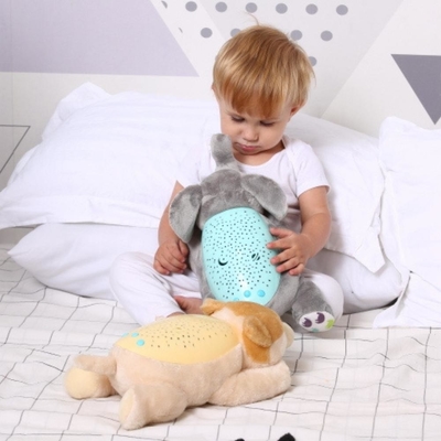 Musica Gioca Bambino giocattolo di peluche Animali da cucina parlanti Per la creatività dei bambini